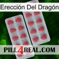 Erección Del Dragón 19